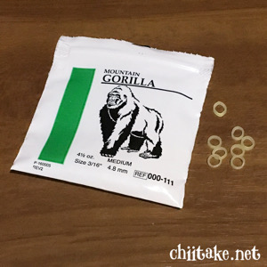 [歯列矯正] 下の歯の微調整 ゴリラのゴム